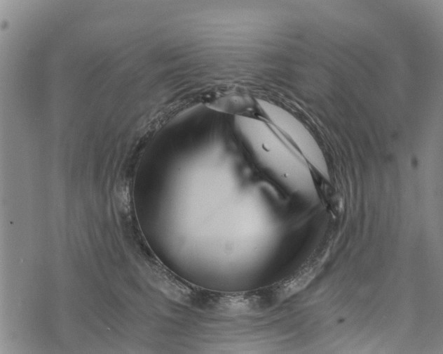 X0000073700613200608311731