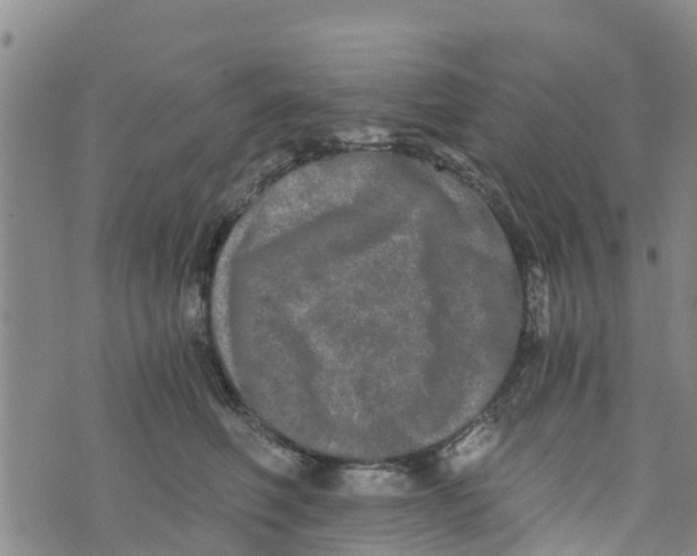 X0000073700614200608311731