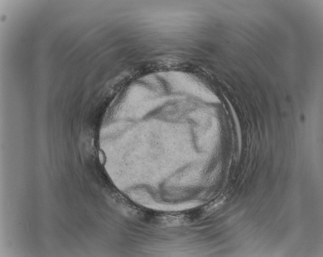 X0000073700615200608311731