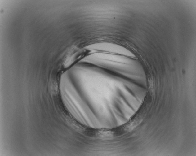 X0000073700617200608311731