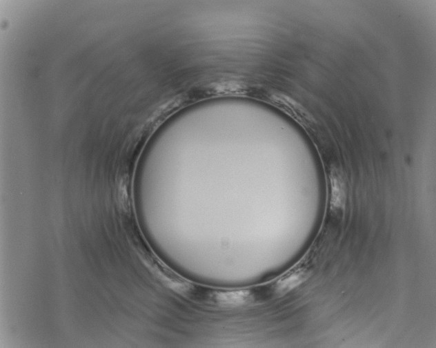 X0000073700618200608311731