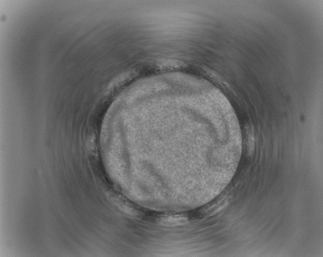 X0000073700619200608311731