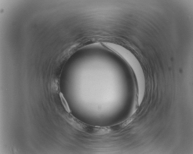 X0000073700621200608311731