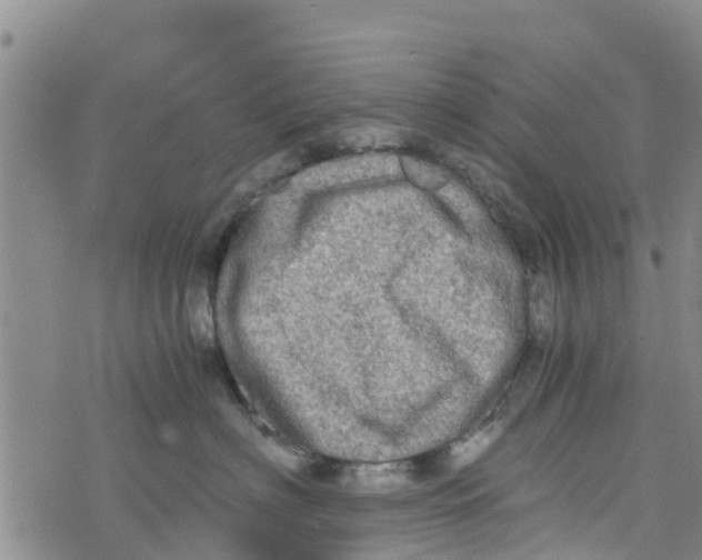 X0000073700622200608311731