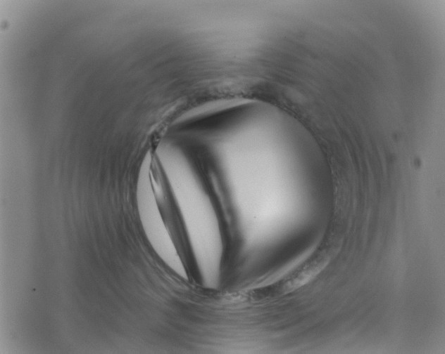 X0000073700624200608311731