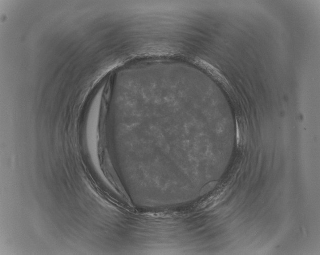 X0000073700627200608311730