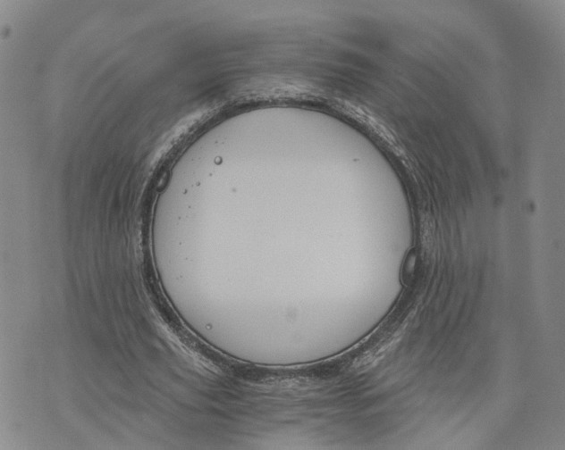 X0000073700629200608311730