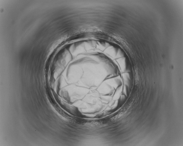 X0000073700630200608311730