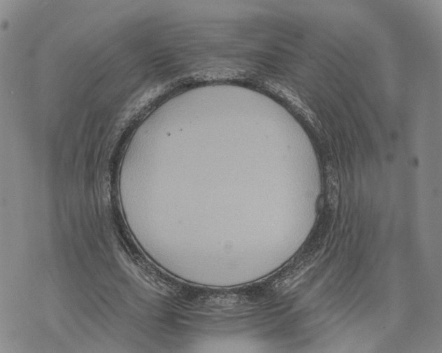 X0000073700631200608311730