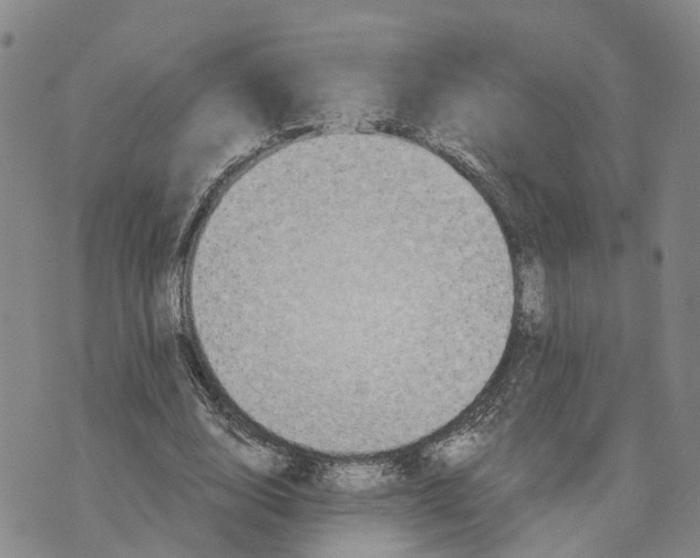 X0000073700632200608311730