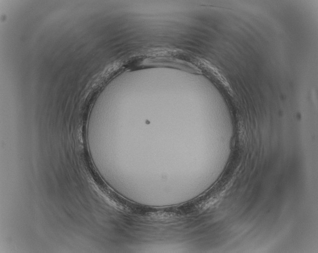 X0000073700633200608311730