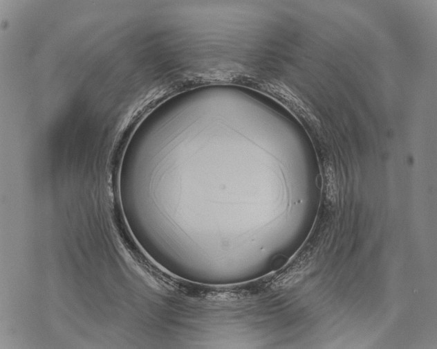 X0000073700634200608311730