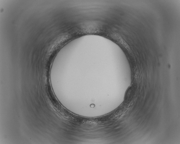 X0000073700635200608311730