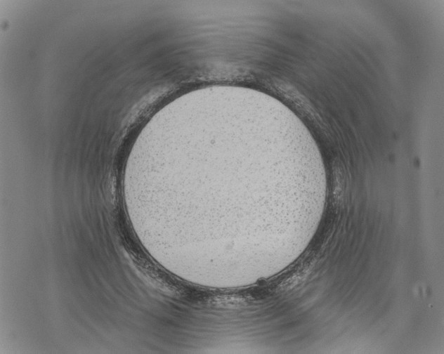 X0000073700636200608311730