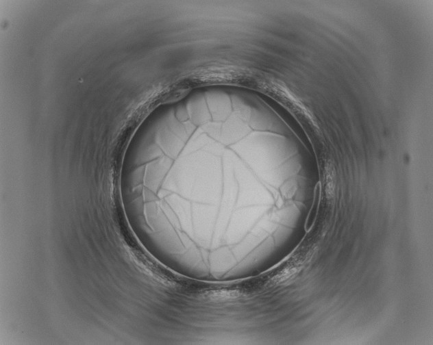 X0000073700637200608311730