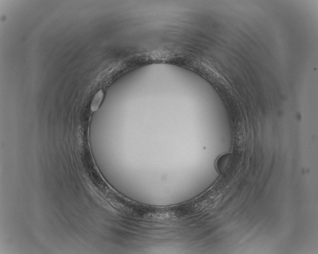 X0000073700639200608311731