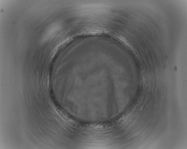 X0000073700640200608311731