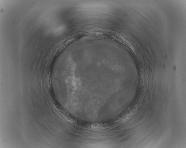 X0000073700641200608311731