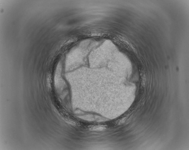 X0000073700643200608311731