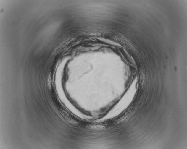 X0000073700644200608311731