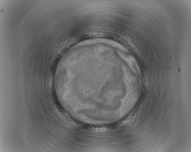 X0000073700645200608311731