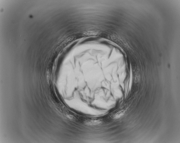 X0000073700647200608311731