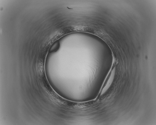 X0000073700648200608311731