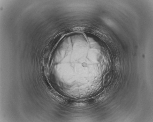 X0000073700649200608311731