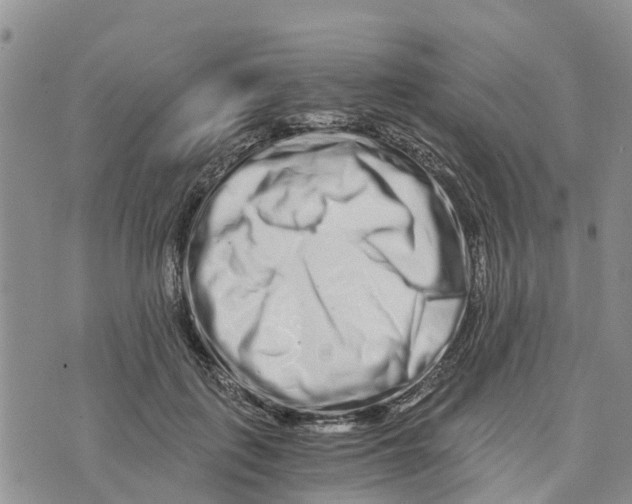 X0000073700651200608311731