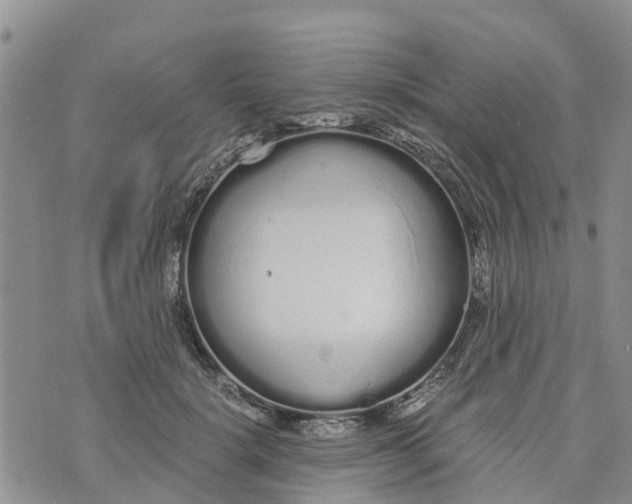 X0000073700652200608311731