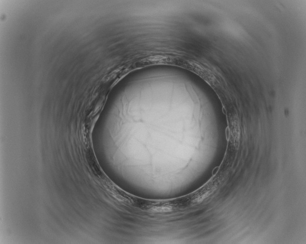 X0000073700653200608311731