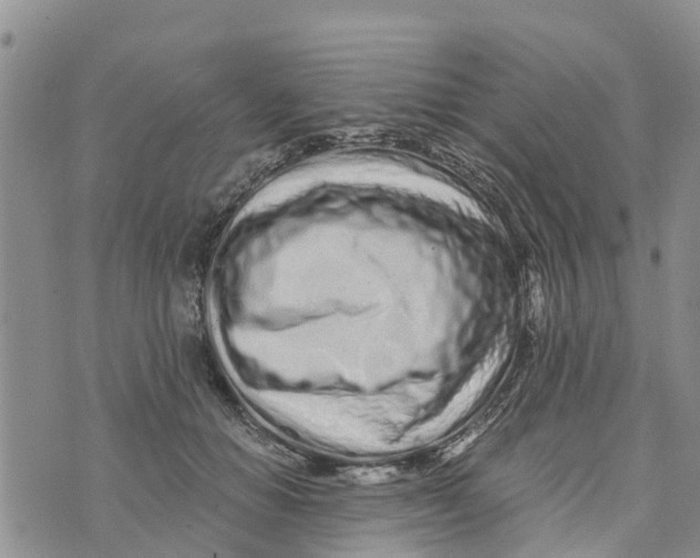 X0000073700654200608311731