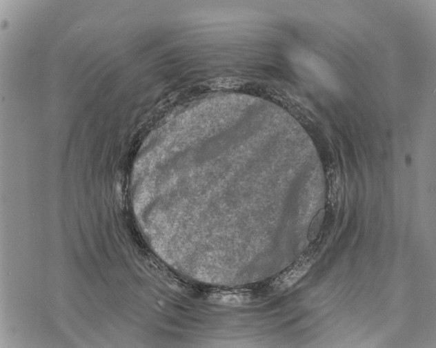 X0000073700655200608311731