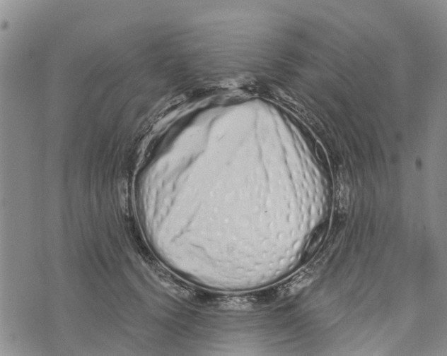 X0000073700656200608311731