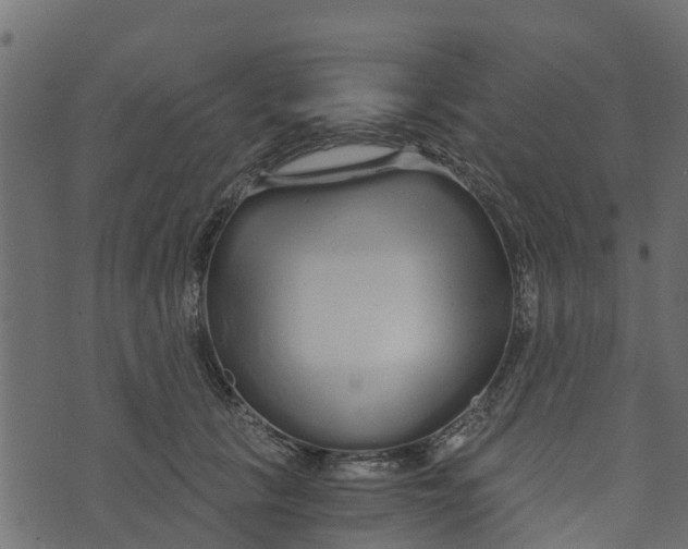 X0000073700657200608311731