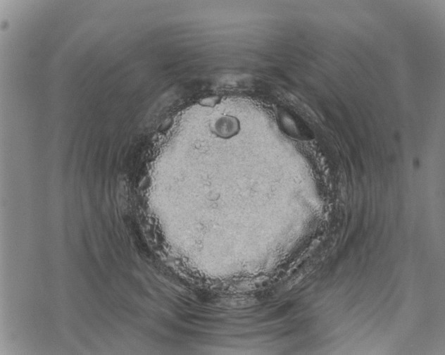 X0000073700659200608311731