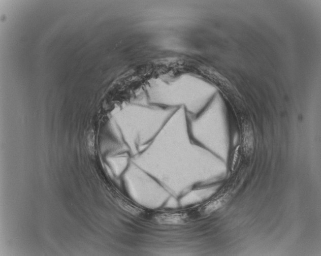 X0000073700661200608311731