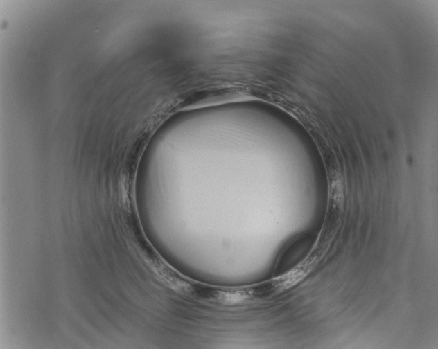 X0000073700662200608311731