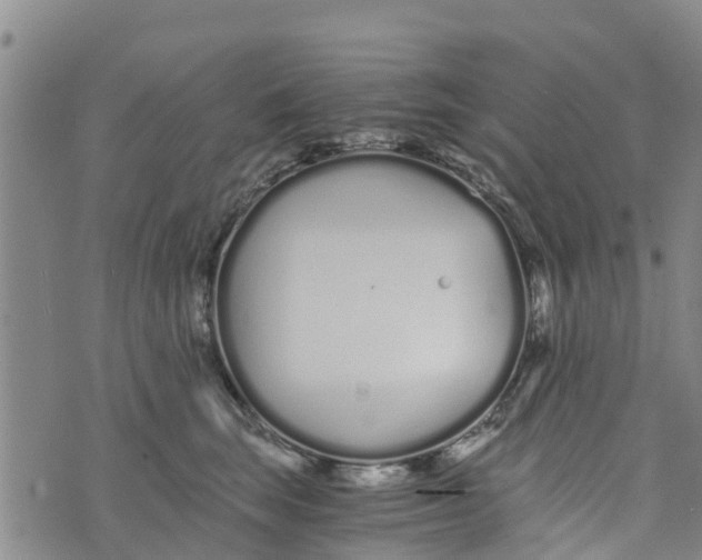 X0000073700663200608311731