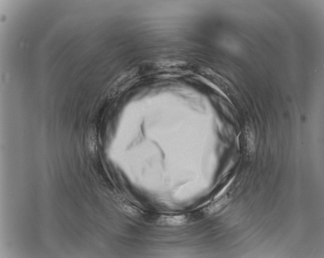 X0000073700665200608311731