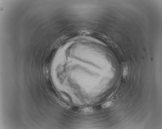 X0000073700666200608311731