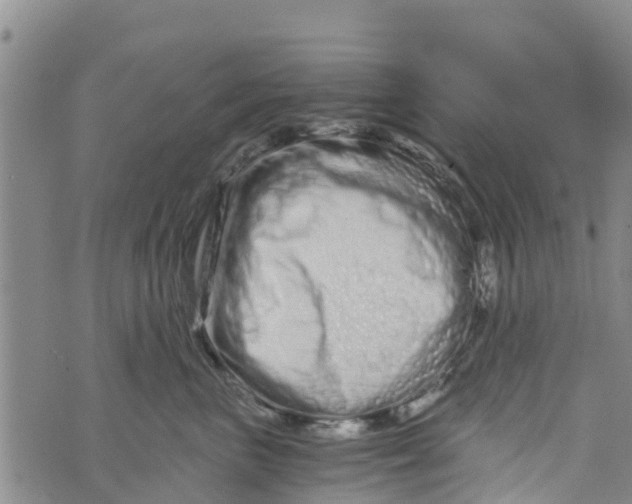 X0000073700667200608311731