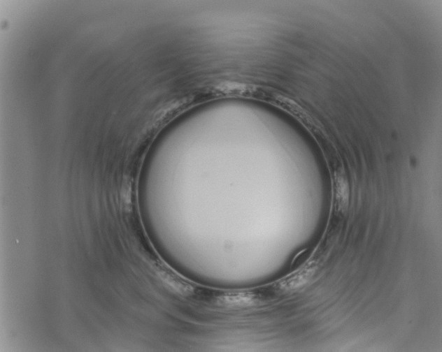 X0000073700668200608311731