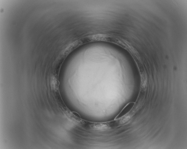 X0000073700669200608311731