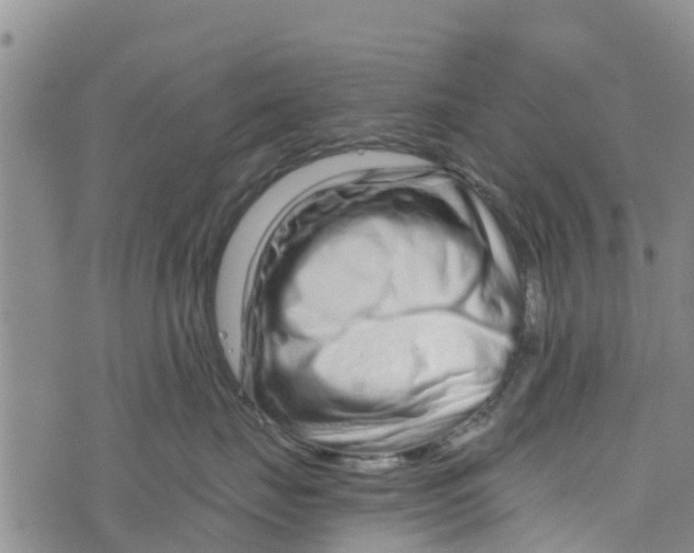 X0000073700671200608311731