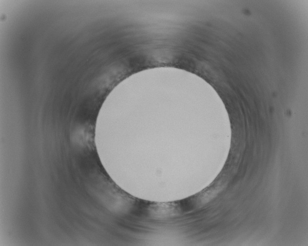 X0000073700672200608311731