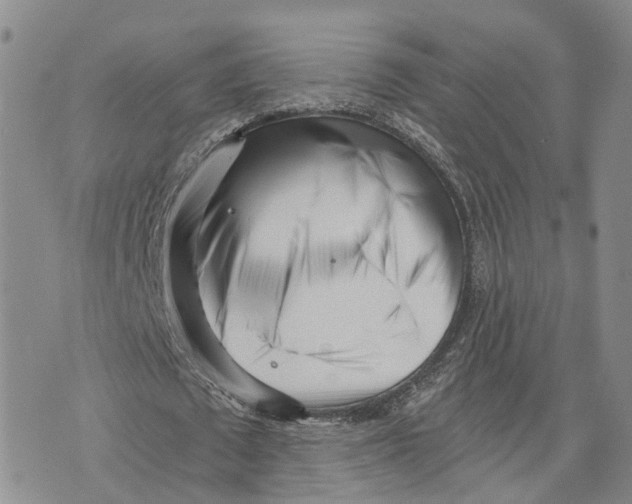 X0000073700673200608311730