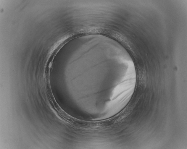 X0000073700674200608311730