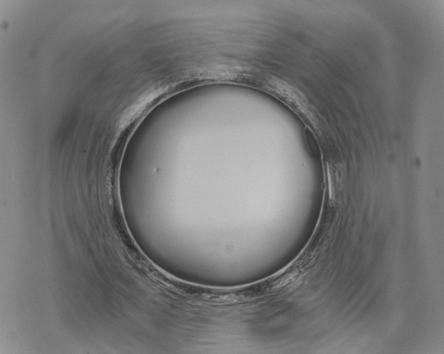 X0000073700675200608311730