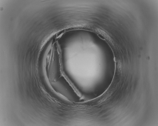 X0000073700676200608311730